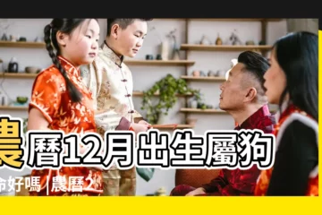 【狗生於十二月十九日】農曆12月出生屬狗人命好嗎 |農曆2月出生屬狗人命好嗎 |十二生肖 |