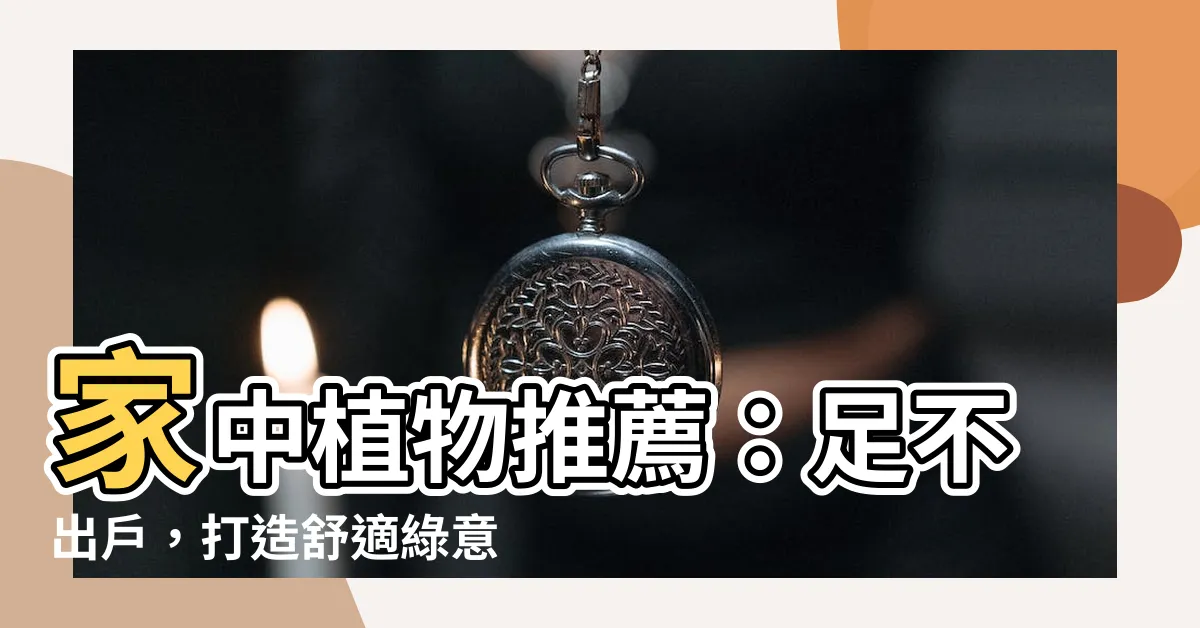 【家中植物推薦】家中植物推薦：足不出户，打造舒適綠意空間