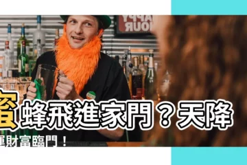 【蜜蜂入屋 預兆】蜜蜂飛進家門？天降好運財富臨門！