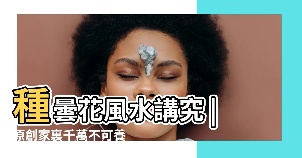 【曇花風水】種曇花風水講究 |原創家裏千萬不可養曇花是為什麼風水擺放禁忌有哪些 |家裏養曇花好不好 |