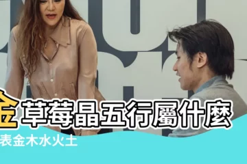 【草莓在五行屬什麼】金草莓晶五行屬什麼 |代表金木水火土的是那幾種水果 |五行屬火 |