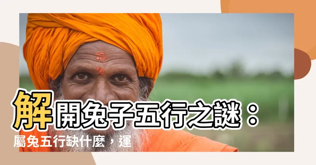 【兔子五行屬什麼】解開兔子五行之謎：屬兔五行缺什麼，運勢如何？