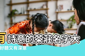 【有詩意的茶室名稱荼】有詩意的茶莊名字大全 |好聽又有深意的茶名有詩意的茶名字 |茶室名字有詩意的最新 |