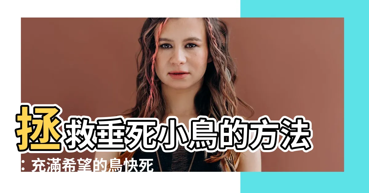 【鳥快死了怎麼辦】拯救垂死小鳥的方法：充滿希望的鳥快死了怎麼辦