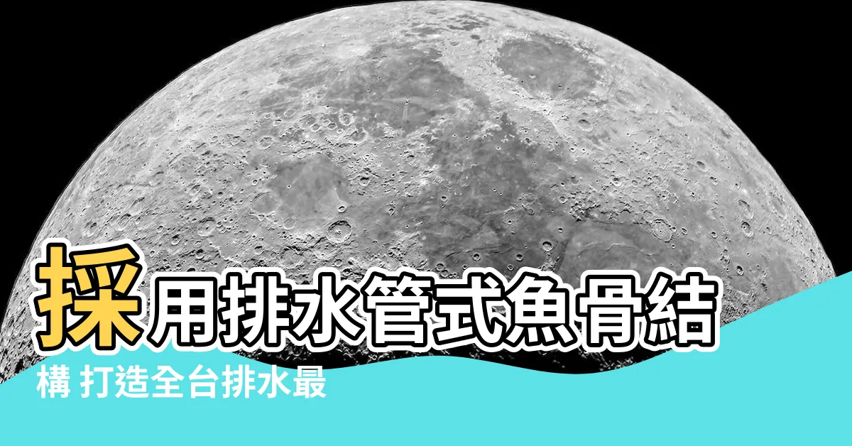 【排水管式魚骨結構】採用排水管式魚骨結構 打造全台排水最佳球場