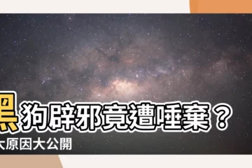 【黑狗辟邪】黑狗辟邪竟遭唾棄？七大原因大公開