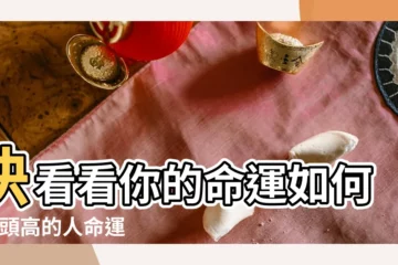 【額頭高才聰明嗎】快看看你的命運如何 |額頭高的人命運是吉是兇 |頭型決定智商 |