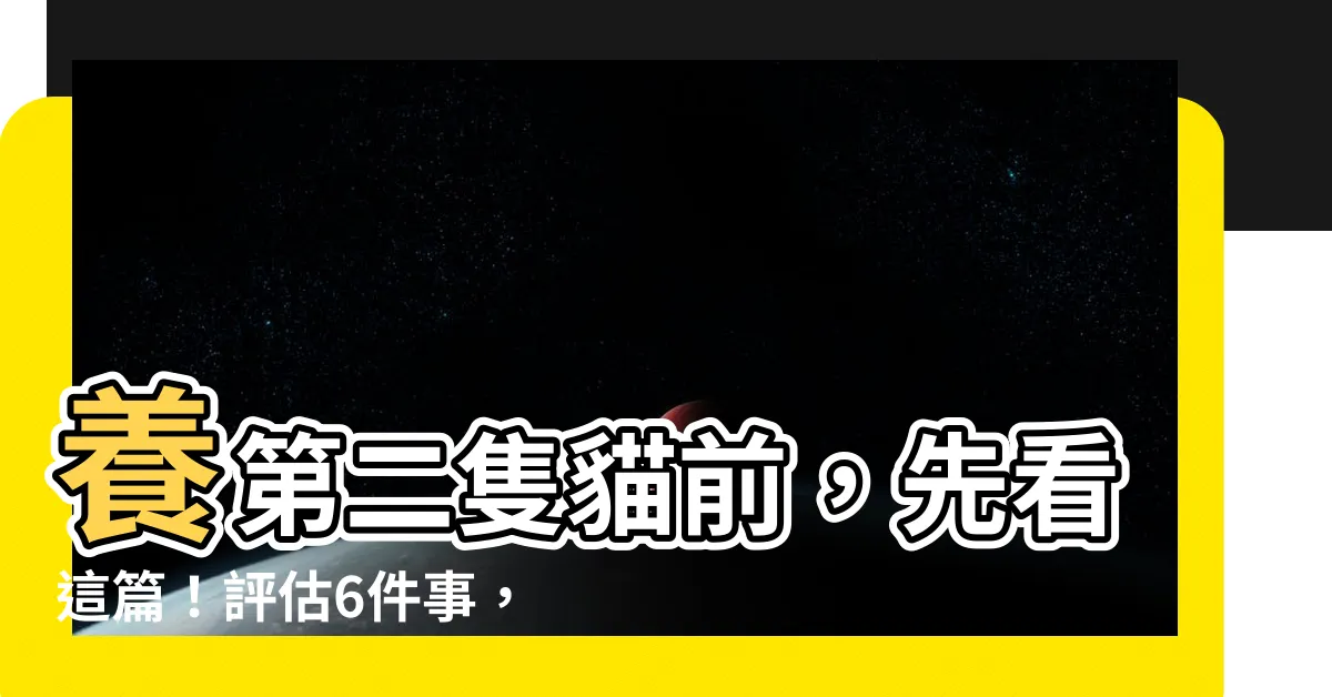 【養第二隻貓】養第二隻貓前，先看這篇！評估6件事，讓新舊貓和睦共處
