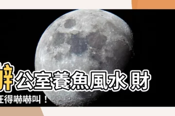【辦公室養魚】辦公室養魚風水 財運旺得嚇嚇叫！