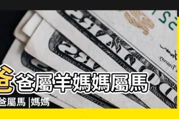 【爸爸屬馬媽媽屬羊生什麼寶寶好】爸爸屬羊媽媽屬馬 |爸爸屬馬 |媽媽屬羊 |