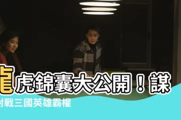 【龍虎錦囊】龍虎錦囊大公開！謀略對戰三國英雄霸權