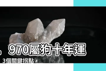 【1970屬狗十年運勢】1970屬狗十年運勢：3個關鍵拐點，把握時機逆轉人生！