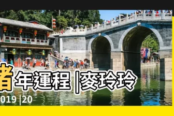 【2019屬豬本命年避屬相】豬年運程 |麥玲玲講2019 |2019年屬豬本命年要注意什麼 |
