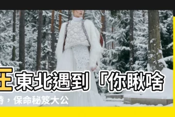 【你看啥】在東北遇到「你瞅啥」時，保命秘笈大公開！