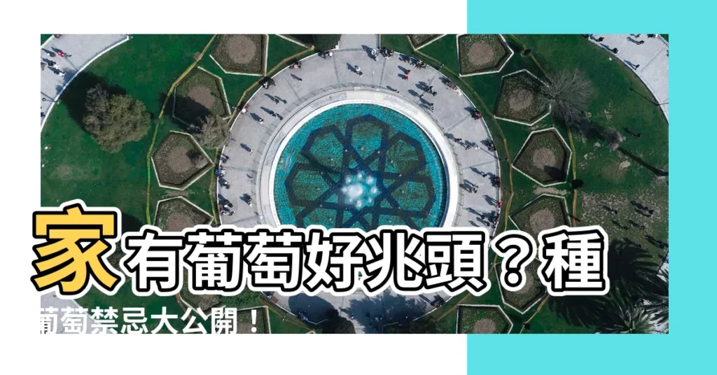【葡萄 風水】家有葡萄好兆頭？種葡萄禁忌大公開！