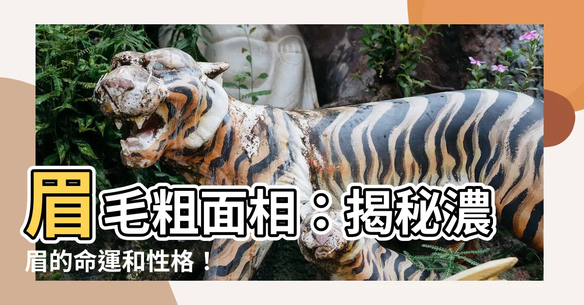 【眉毛粗面相】眉毛粗面相：揭秘濃眉的命運和性格！