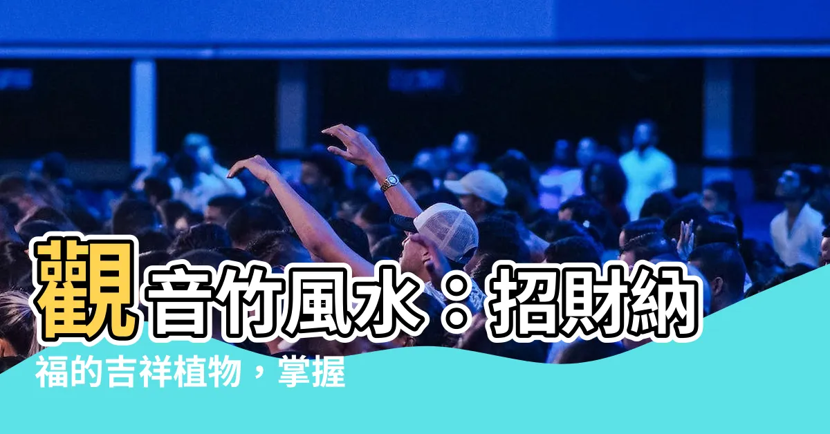 【觀音竹風水】觀音竹風水：招財納福的吉祥植物，掌握擺放細節提升運勢