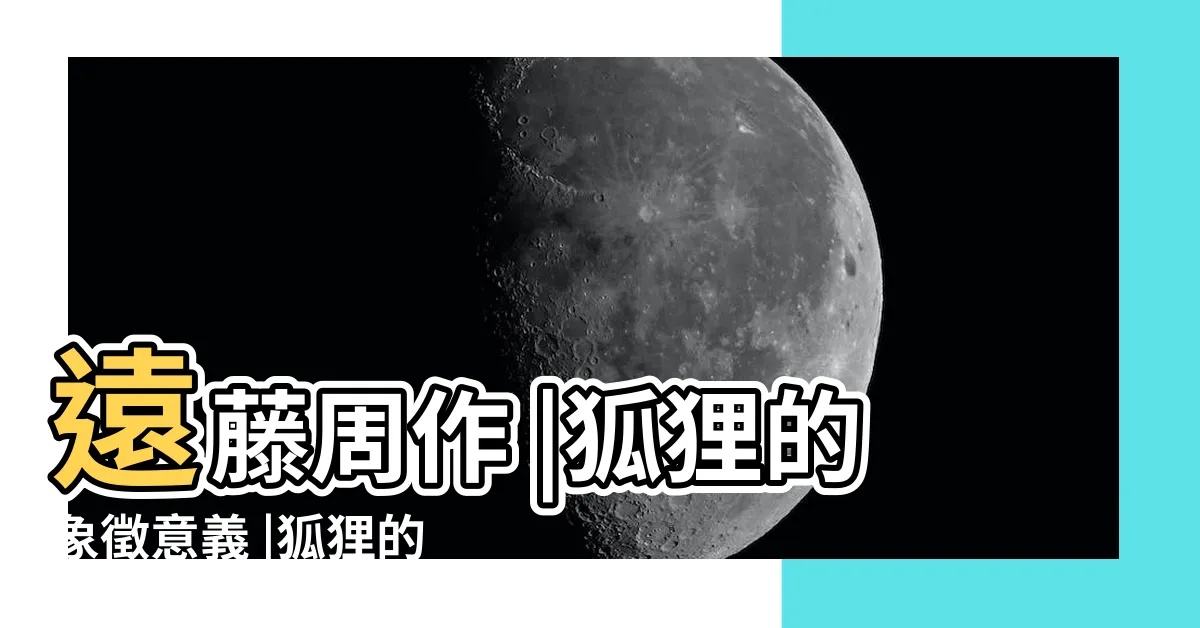 【狐狸 代表】遠藤周作 |狐狸的象徵意義 |狐狸的象徵意義 |