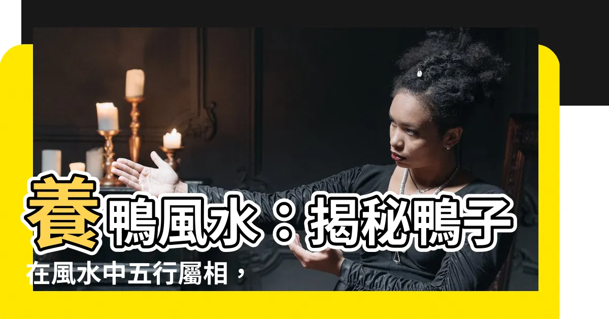 【鴨 風水】養鴨風水：揭秘鴨子在風水中五行屬相，不可不知的風水禁忌