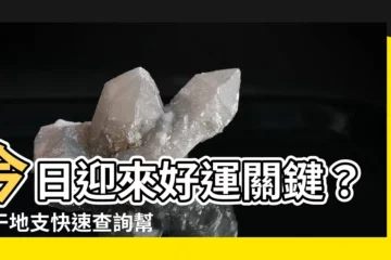 【天干地支 查詢】今日迎來好運關鍵？天干地支快速查詢幫你掌握命運！