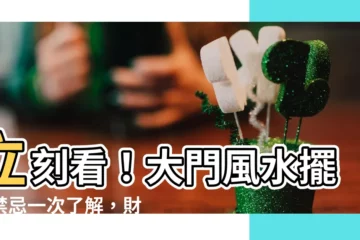 【大門風水擺設】立刻看！大門風水擺設禁忌一次瞭解，財運旺旺來