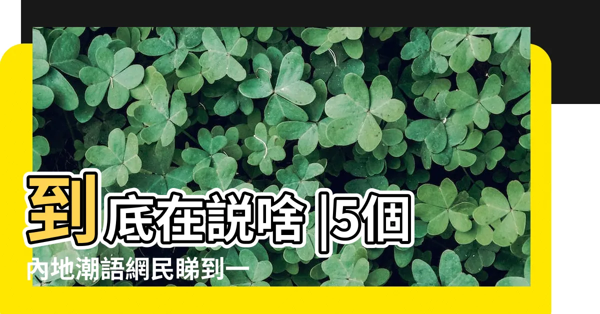 【絕絕子是什麼】到底在説啥 |5個內地潮語網民睇到一舊雲原來 |新一代網路流行語什麼都能加 |