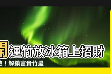 【開運竹放冰箱上】開運竹放冰箱上招財化煞！解鎖富貴竹最強風水擺法