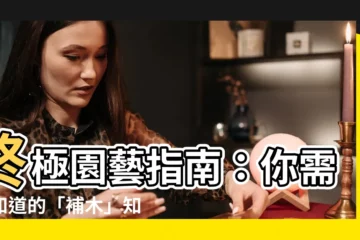 【補木】終極園藝指南：你需要知道的「補木」知識