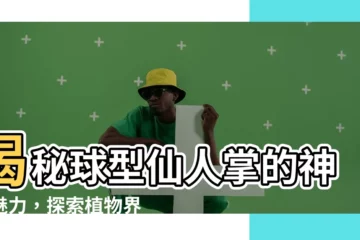 【球型仙人掌】揭秘球型仙人掌的神奇魅力，探索植物界的綠色圓球