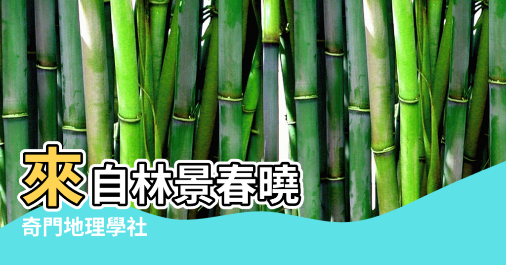 【陰陽先生與風水師】來自林景春曉 |奇門地理學社 |做的是調和陰陽的事 |