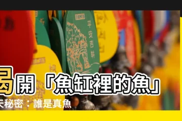 【魚缸裡的魚】揭開「魚缸裡的魚」驚天秘密:誰是真魚,誰是傀儡?