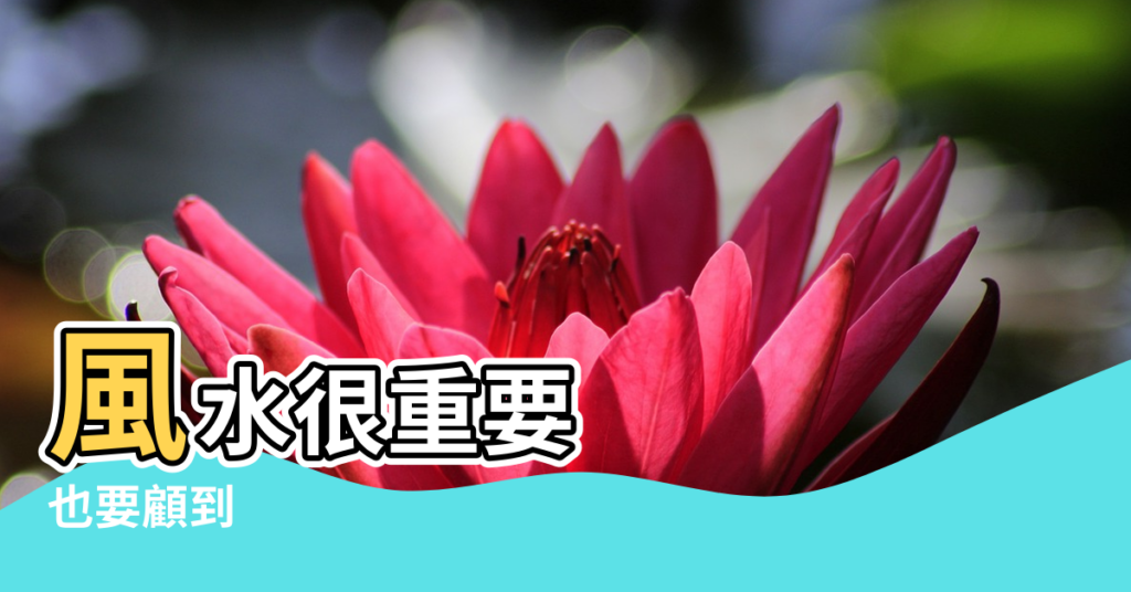 【陽臺瓶罐多了影響風水】風水很重要 |也要顧到 |謝沅瑾老師行動風水教室 |