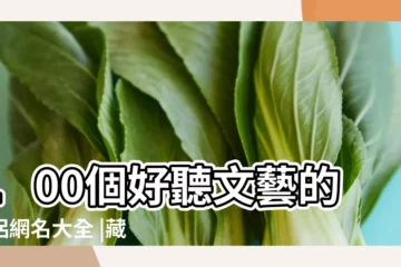 【文藝詩句情侶名】100個好聽文藝的情侶網名大全 |藏在詩詞中的絕美古風古韻情侶名 |詩詞文藝情侶名 |