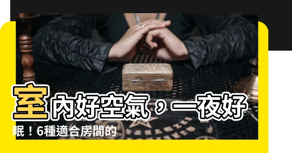 【適合房間的植物】室內好空氣，一夜好眠！6種適合房間的淨化植物