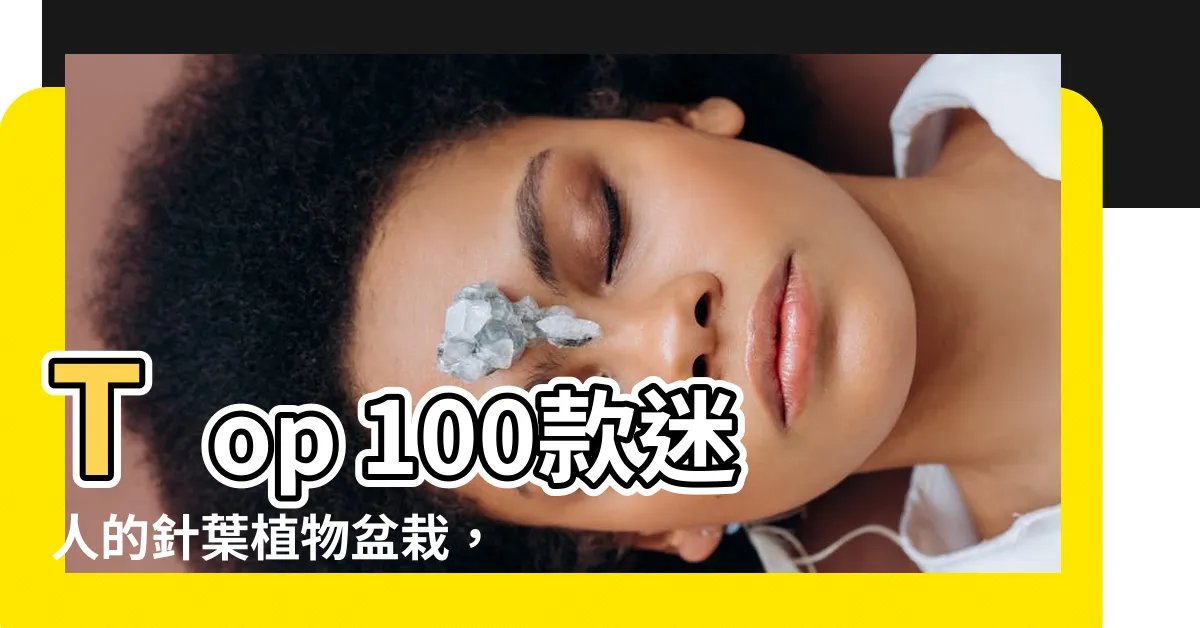 【針葉植物盆栽】Top 100款迷人的針葉植物盆栽，帶您進入綠色世界