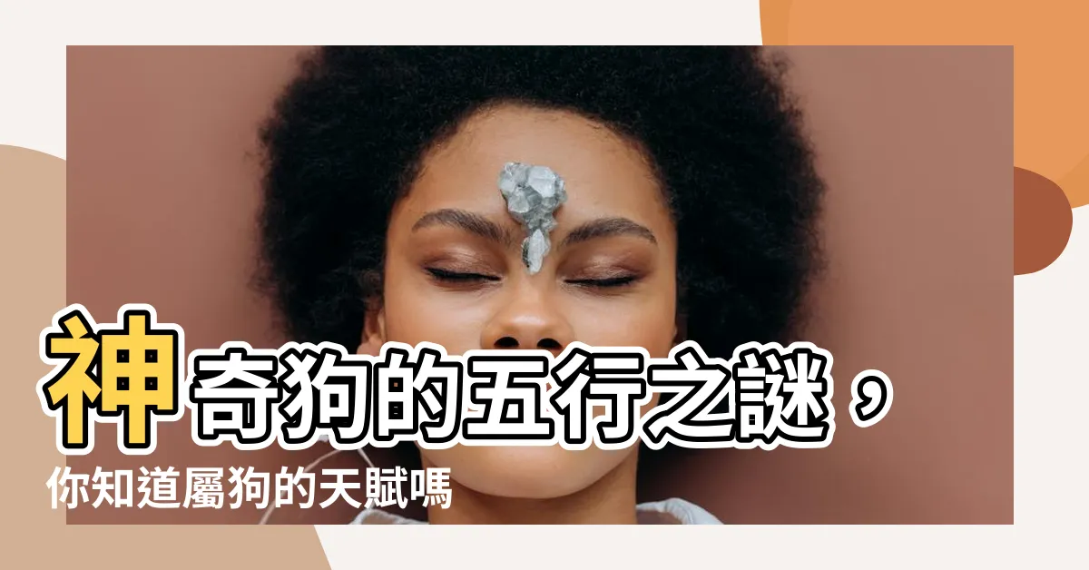 【狗的五行】神奇狗的五行之謎，你知道屬狗的天賦嗎？
