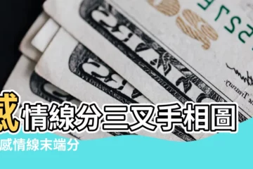 【感情線前端分三叉】感情線分三叉手相圖解 |感情線末端分成三叉的含義 |