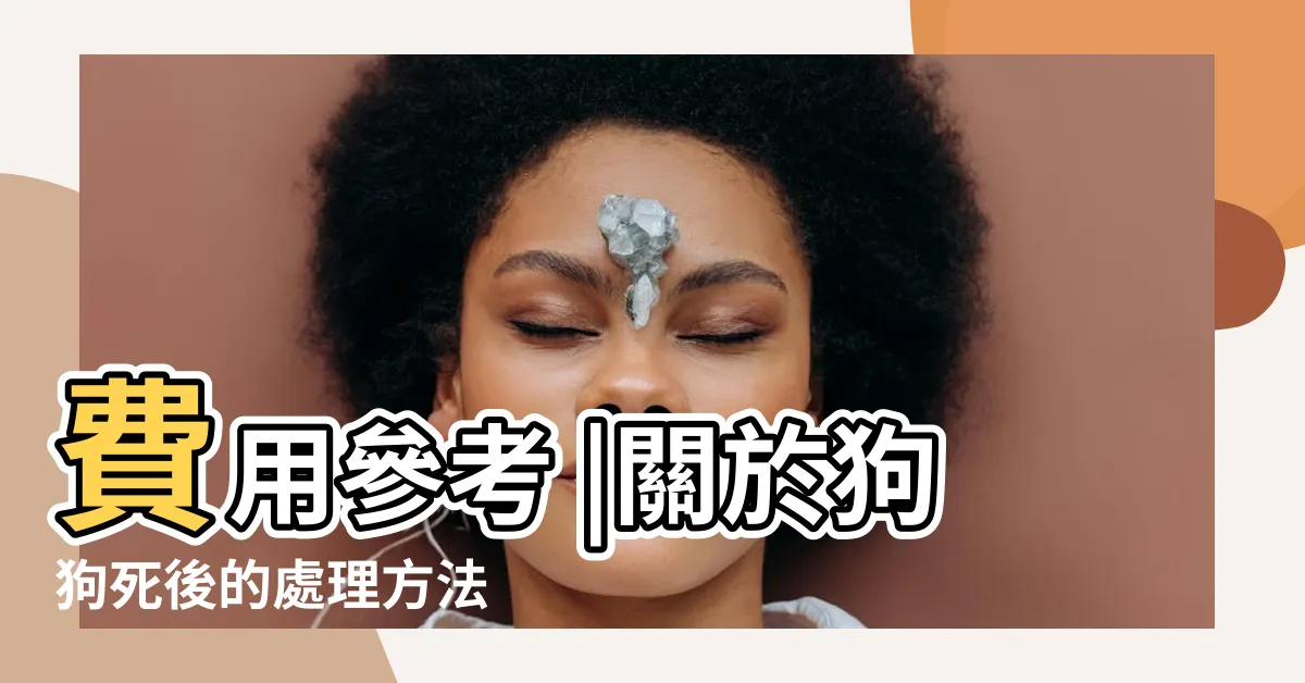 【狗狗死亡處理】費用參考 |關於狗狗死後的處理方法 |盤點4種 |