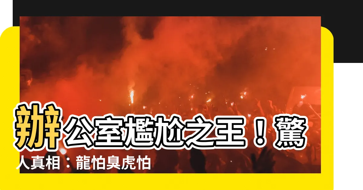【龍怕臭虎怕吵辦公室】辦公室尷尬之王！驚人真相：龍怕臭虎怕吵震撼揭露