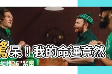 【地格 26】驚呆！我的命運竟然與"地格26"緊密相連