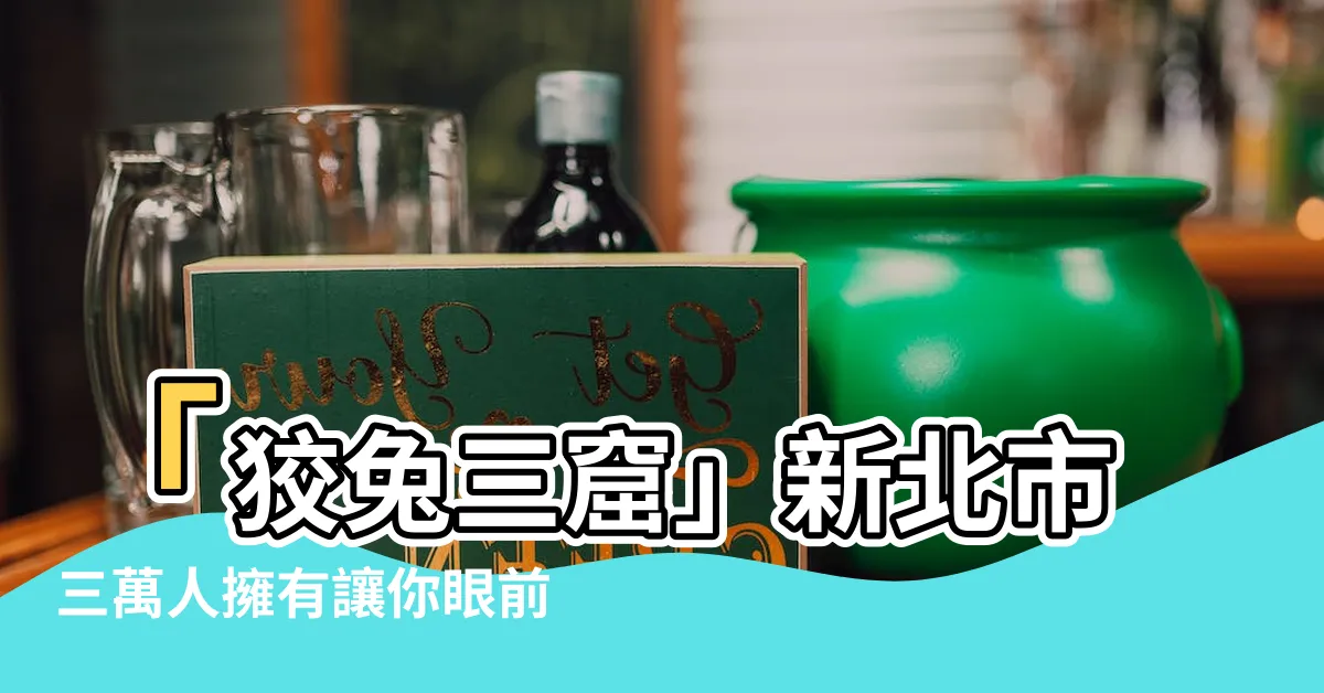 【三間房子】「狡兔三窟」新北市三萬人擁有讓你眼前一亮的三間房子！