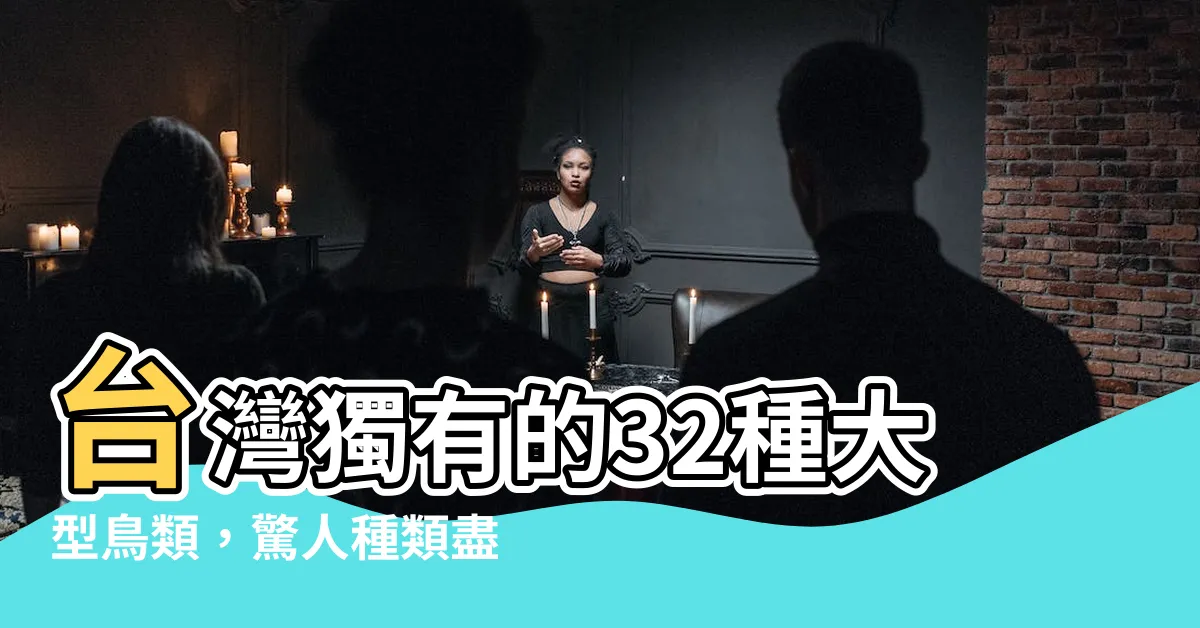【大型鳥類 種類】台灣獨有的32種大型鳥類，驚人種類盡在一探！