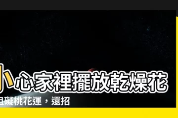 【家裡放乾燥花】小心家裡擺放乾燥花！阻礙桃花運，還招惹厄運！