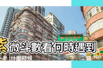 【紫微鬥數看怎樣遇到另一半】紫微斗數看何時遇到另一半 |什麼時候戀愛 |超越星座的準確度 |