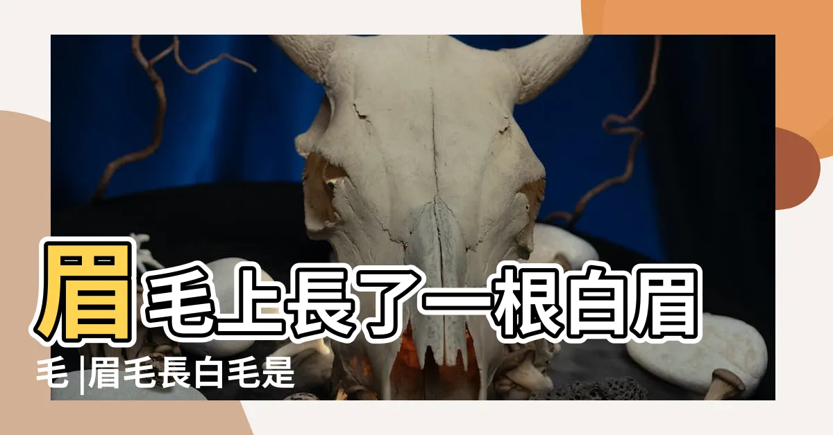 【眉頭長白毛】眉毛上長了一根白眉毛 |眉毛長白毛是什麼原因 |左眉毛長一根白毛命理寓意吉利嗎 |