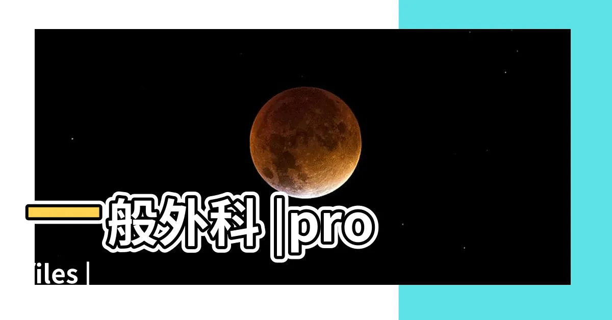 【何正中】一般外科 |profiles |