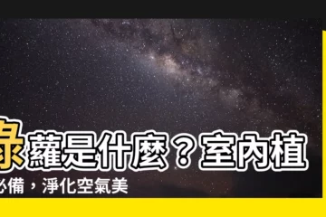 【綠蘿是什麼】綠蘿是什麼？室內植物必備，淨化空氣美化居家！