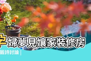 【孕婦夢見店鋪外面修路】孕婦夢見孃家裝修房子 |籤詩討論 |夢境討論 |