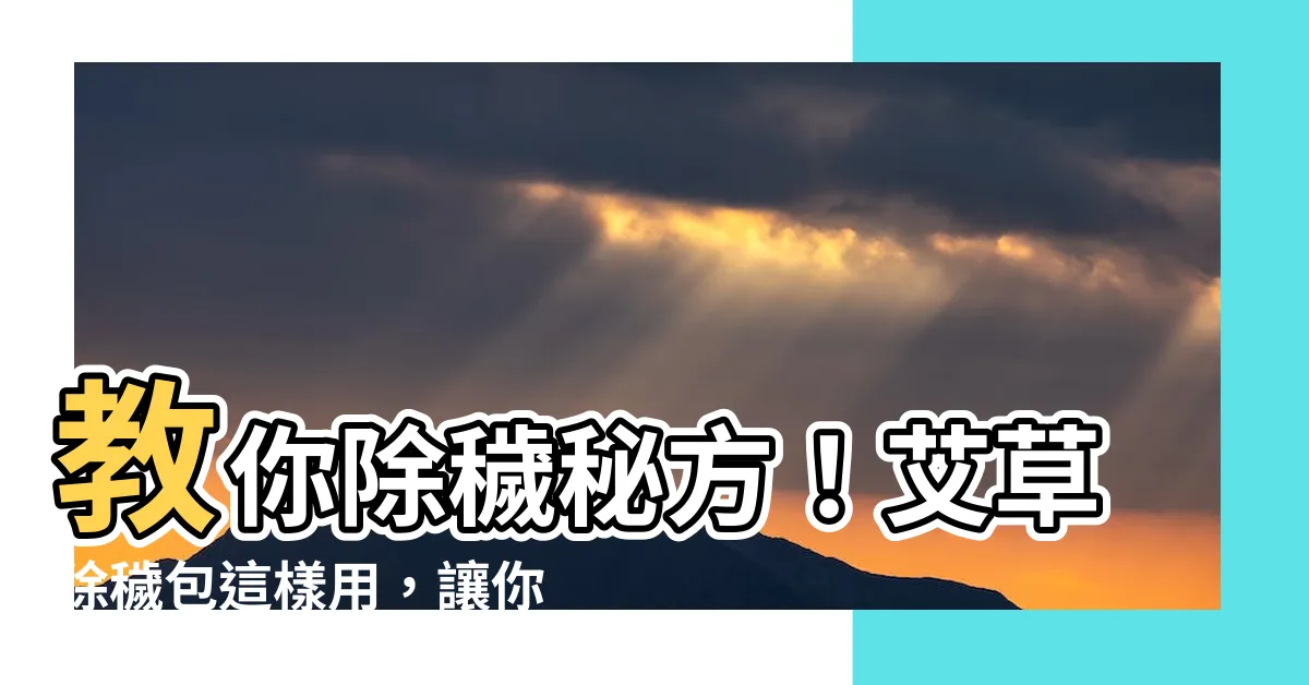 【除穢包使用方法】教你除穢秘方！艾草除穢包這樣用，讓你好運爆棚，遠離穢氣！