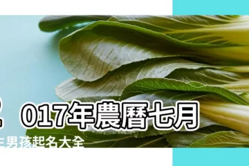 【2017年七月出生的男孩名字】2017年農曆七月出生男孩起名大全 |2017年農曆七月出生男孩起名大全 |2017年7月出生的寶寶取名大全 |